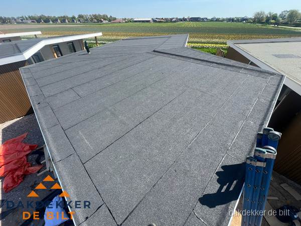 Nieuw bitumen plat dak met uitzicht over landschap in De Bilt