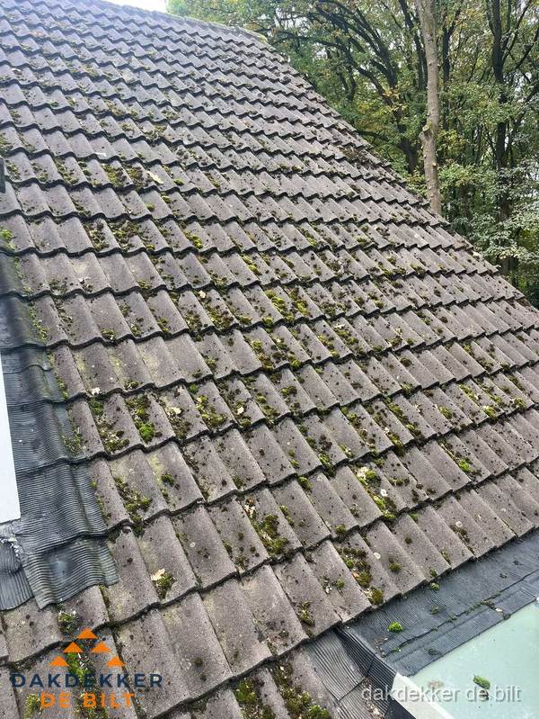 Verweerd pannendak met mosgroei dat renovatie nodig heeft in De Bilt