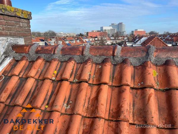 Pannendak met nokvorst en schoorsteen, dakrenovatie in De Bilt