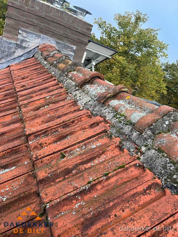 Verweerd hellend dak met mosgroei op nokvorst in De Bilt