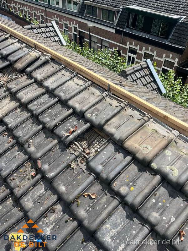Dakonderhoud aan schuin pannendak met nokvernieuwing in De Bilt